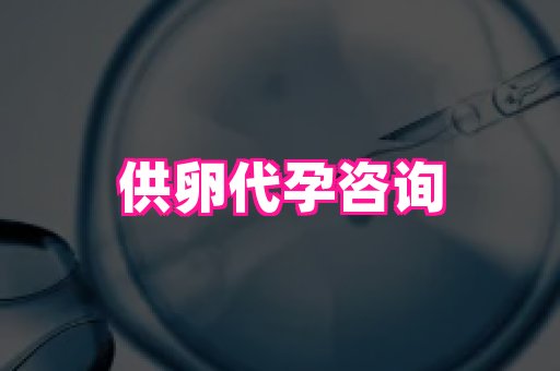 北京助孕网 1