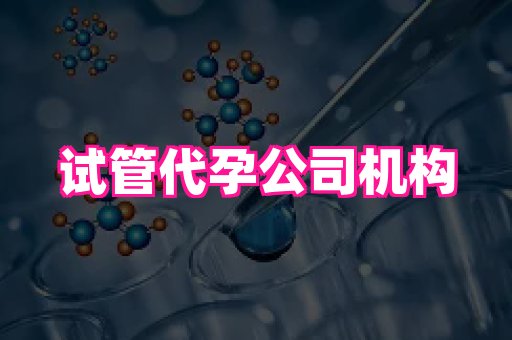 北京助孕网 2