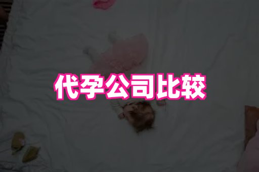 北京助孕网 3