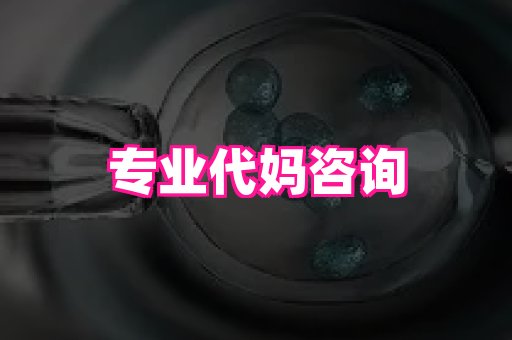 北京助孕网 4